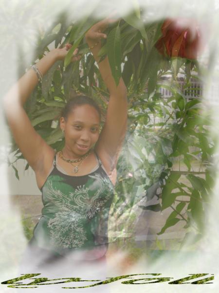 ly-foll